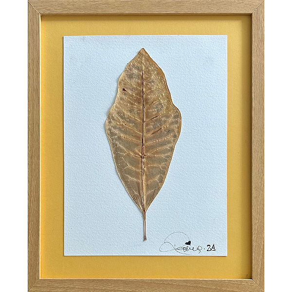Colagem Cróton Codiaeum P | By Regina Duarte