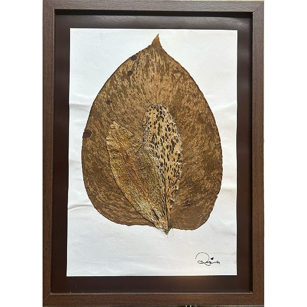 Colagem Tulipeiro P em Papel Reciclado - By Regina Duarte