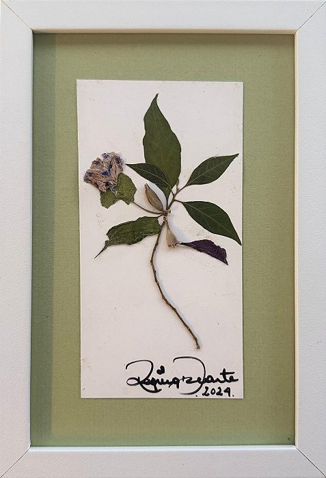Colagem de Fumeiro Solanum PP | By Regina Duarte