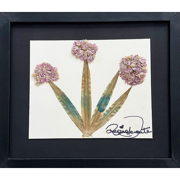 Colagem de Alho Ornamental (Allium) PP | By Regina Duarte