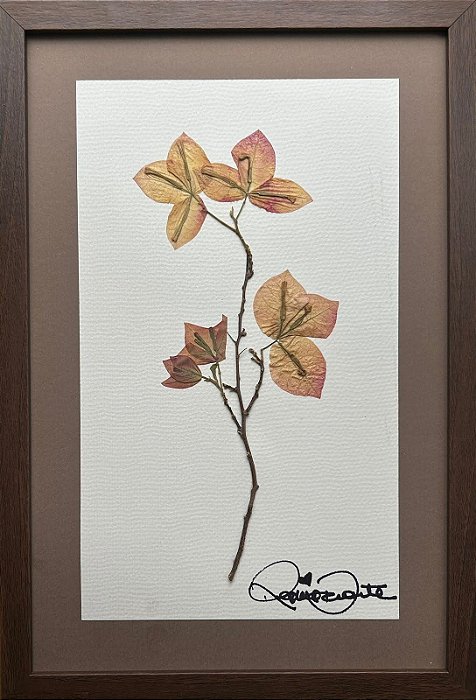 Colagem de Primavera P | By Regina Duarte