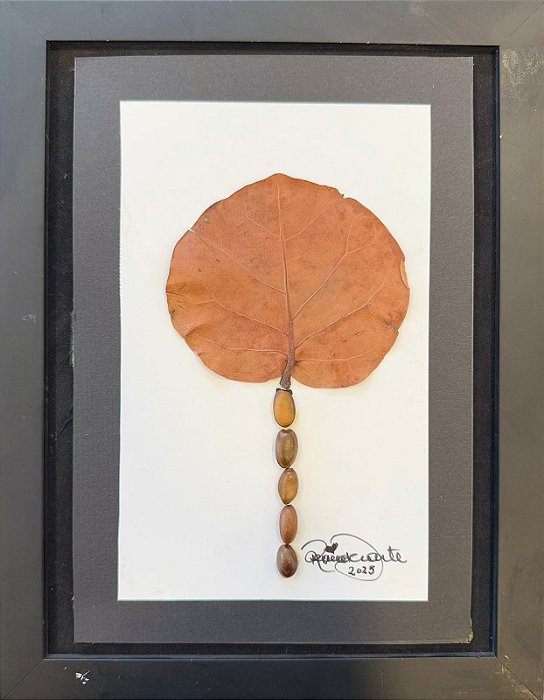 Colagem de Uva-da-Praia P | By Regina Duarte