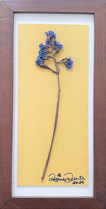 Colagem de estátice P | By Regina Duarte