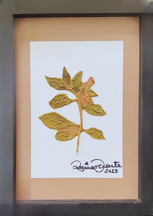 Colagem de Erva Santa | By Regina Duarte