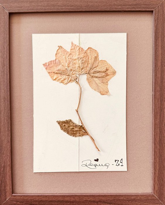 Colagem de primavera P | By Regina Duarte