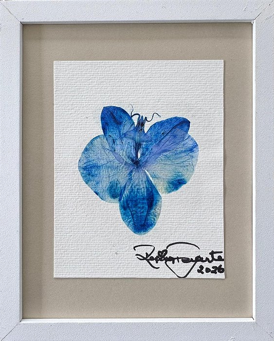 Colagem de Orquídea | By Regina Duarte
