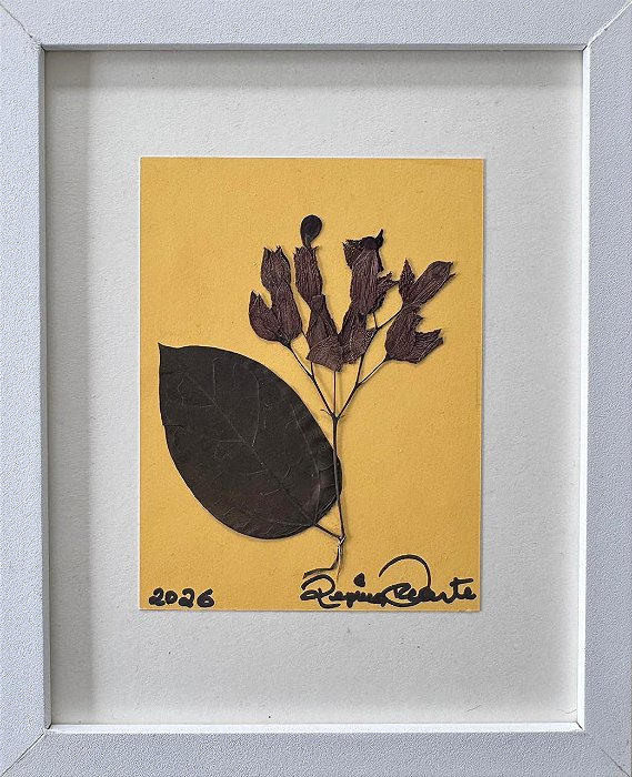 Colagem de Lágrimas de Cristo | By Regina Duarte