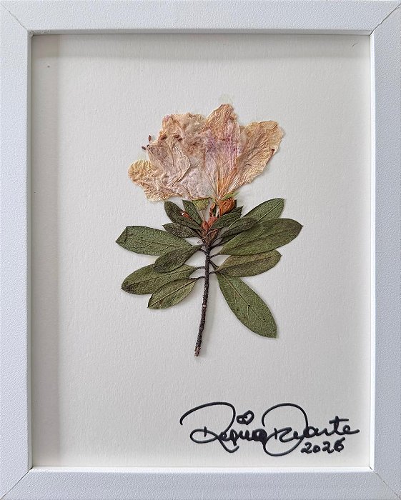 Colagem de Azaléia | By Regina Duarte