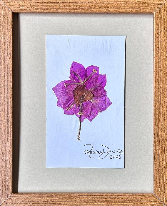 Colagem de Primavera | By Regina Duarte