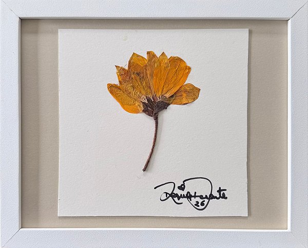 Colagem de Girassol | By Regina Duarte