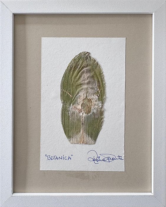 Colagem de Potamogeton Natans | By Regina Duarte