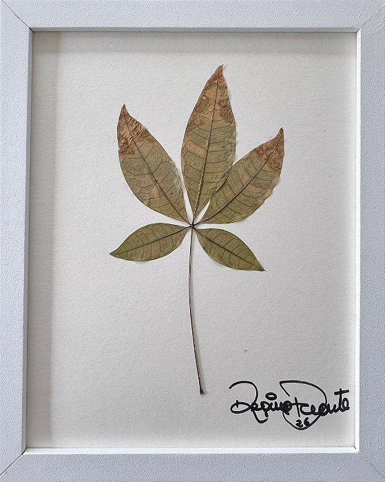 Colagem de Alho Sagrado | By Regina Duarte