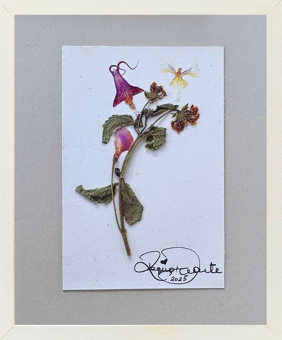 Colagem violeta de Chifre | By Regina Duarte