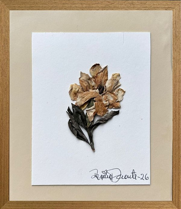 Colagem de Hibisco-da-sitia | By Regina Duarte