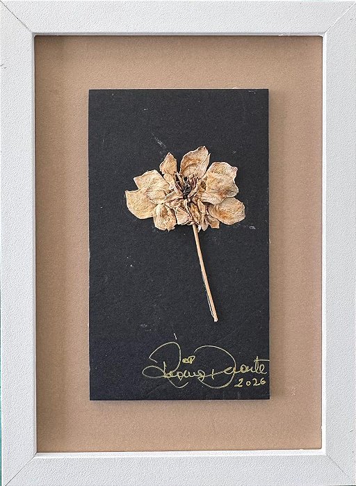 Colagem Olmo-Siberiano | By Regina Duarte