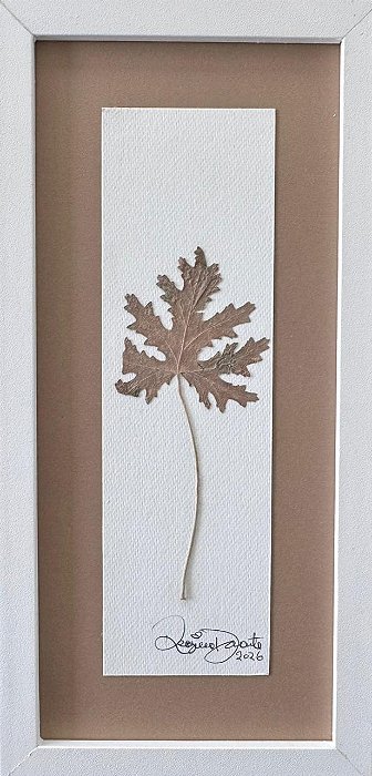 Colagem de Gerânio-rosa | By Regina Duarte