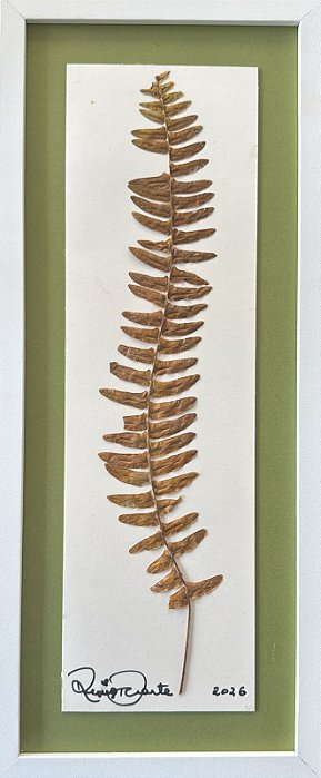 Colagem de Samambaia Kimberly | By Regina Duarte