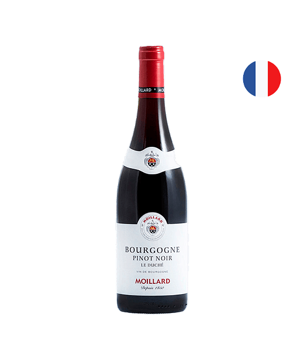 Vinho Tinto Francês Moillard Bourgogne Pinot Noir Le Duché 2021 750ml