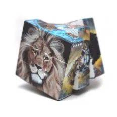 Cubo Mágico Vinci Diego Mendonça Leões