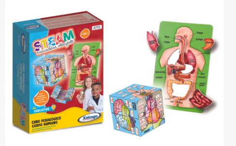 Steam Cubo Corpo Humano
