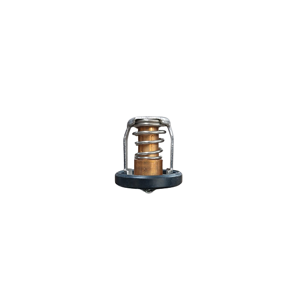 TERMOSTATO DF20AHP