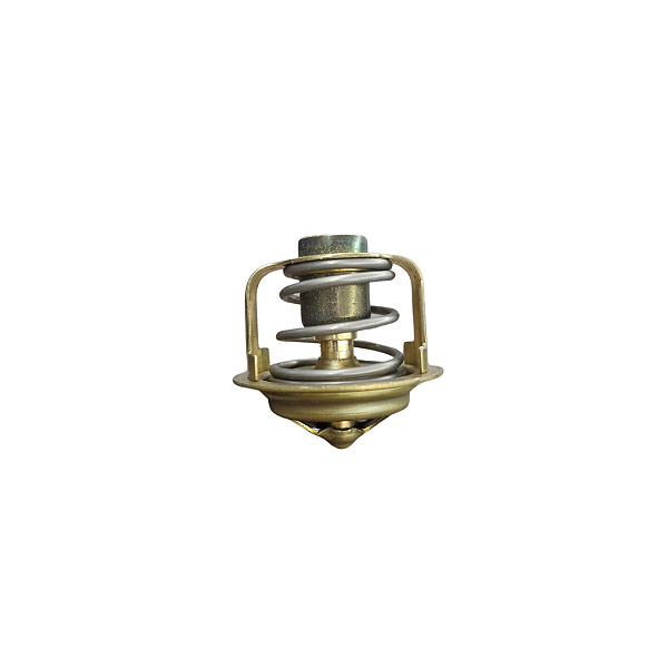 TERMOSTATO 2 DT75/85HP 2T SUZUKI