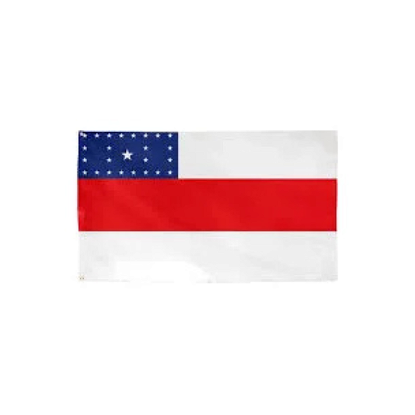 BANDEIRA DO AMAZONAS POLIESTER TAM 00