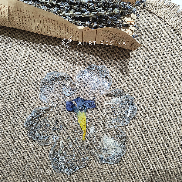 Mini bandeja botânica