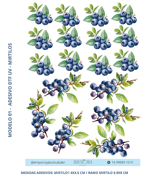 Adesivo DTF UV folha A4 - Mirtilos