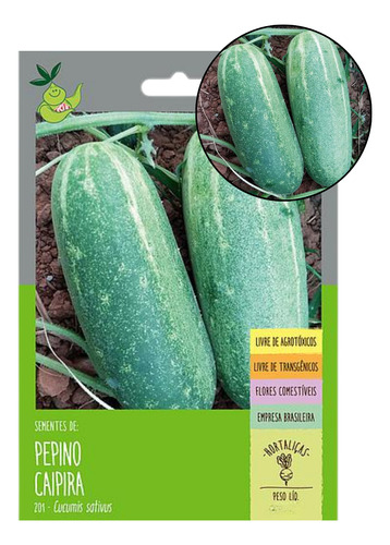 Pepino Caipira 90 Sementes- Isla