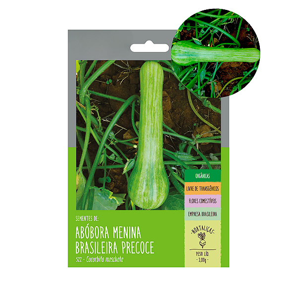 Abóbora Precoce Menina Brasileira 40 Sementes - Isla