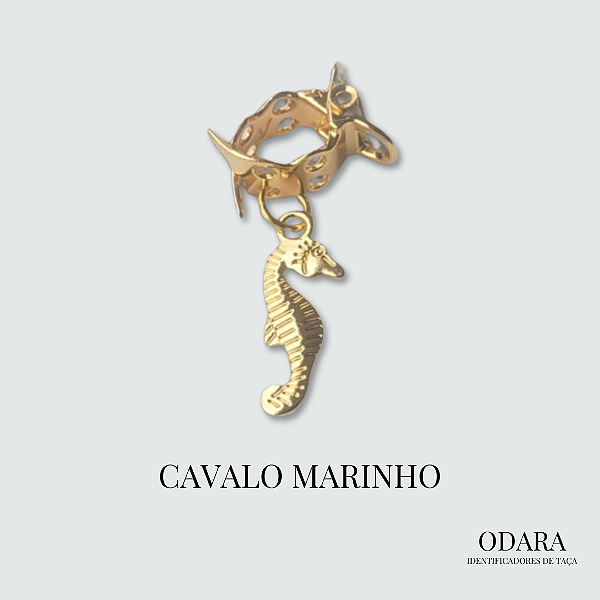 Identificador Cavalo Marinho