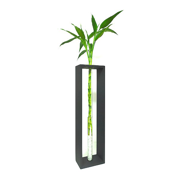 Vaso de Vidro com Três Bambu da Sorte e Suporte para Chão Extra Grande