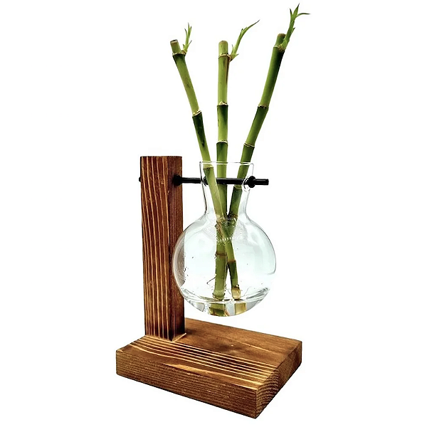 Suporte em Madeira e Vaso Pendente Bambu da Sorte (3 Hastes)