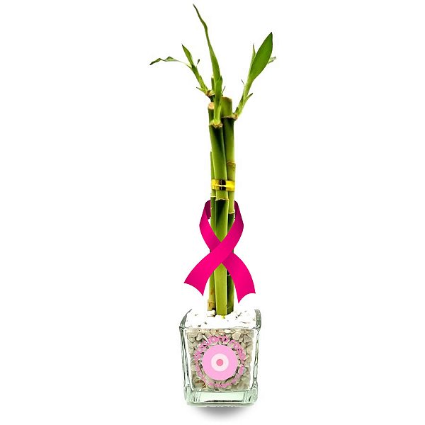 Vasinho de Vidro com Três Bambu da Sorte (Outubro Rosa)