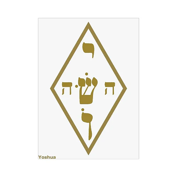 Placa Radiônica Yoshua (PVC)