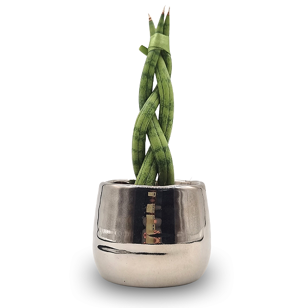 Cachepot Prateado com Lança de São Jorge Trançada (Pequena)