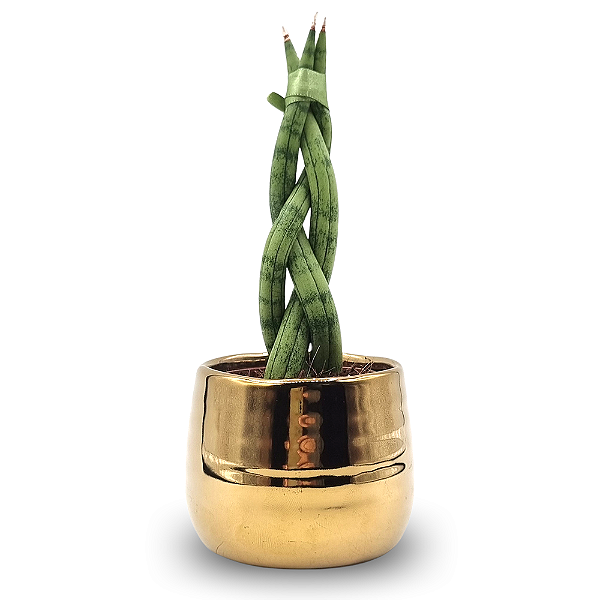 Cachepot Dourado com Lança de São Jorge Trançada (Pequena)