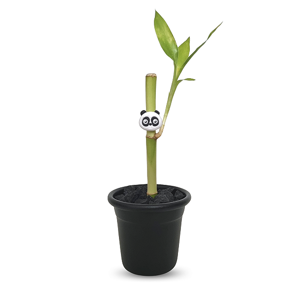 Vasinho em Metal Panda Pop com Bambu da Sorte
