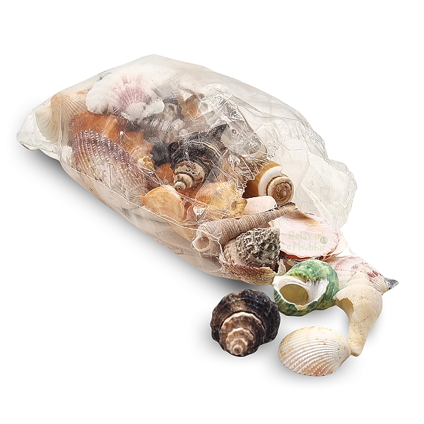 Saquinho de Conchas e Caracóis do Mar (300g)