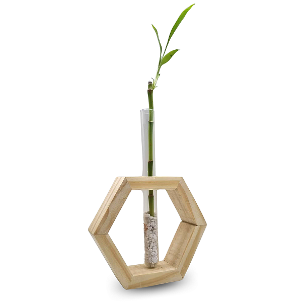 Suporte Hexágono em Madeira Pinus com Bambu da Sorte