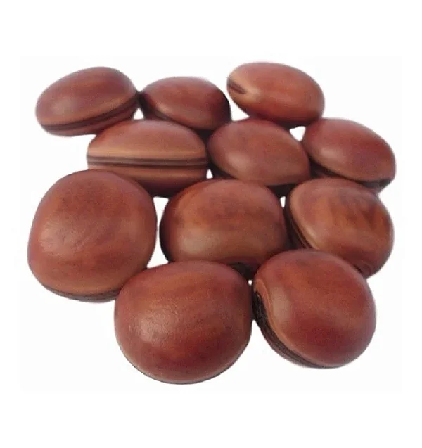 Semente Olho de Boi (Mucunã)