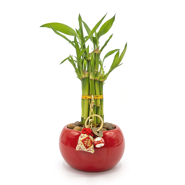 Vaso Oriental em Cerâmica com Torre de Bambu da Sorte (25cm)