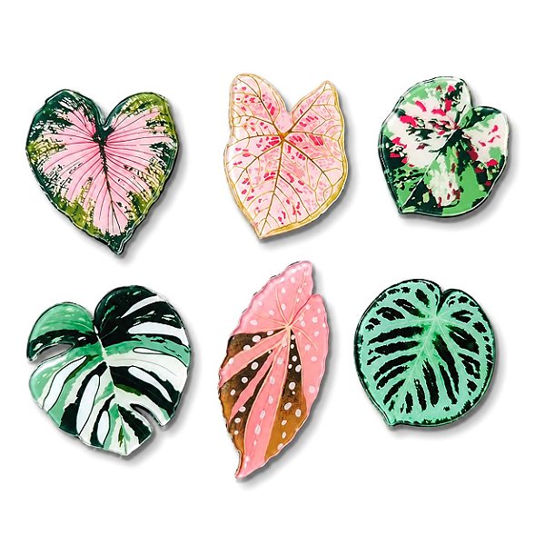 Kit Imã de Geladeira com Folhagens Tropicais (6 unidades)