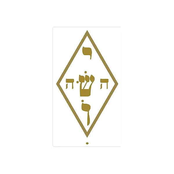 Adesivo Radiônico Nome Mistico Jesus Yoshua 5cm (3 unidades)