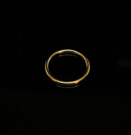 Argola Dourada Lisa Titânio
