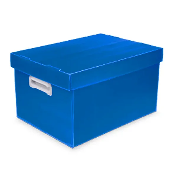 Caixa Organizadora G The Best Box NovaOnda Fosca