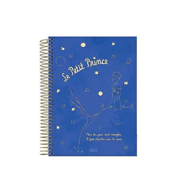 Caderno colegial 10 meterias Pequeno Príncipe