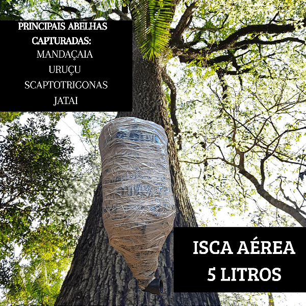 Isca Aérea para Captura de Abelhas Sem Ferrão 5 Litros