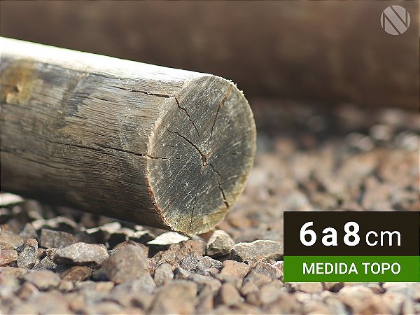 ESTACA DE EUCALIPTO TRATADO 6/8